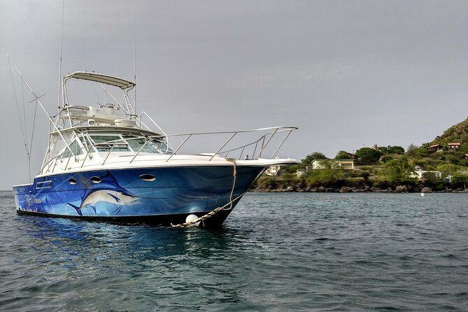 VIP Private Guided Scuba Diving/Snorkeling Excursion - Certified Underwater Sessions: Amanda’s Calm, Step-by-Step Approach