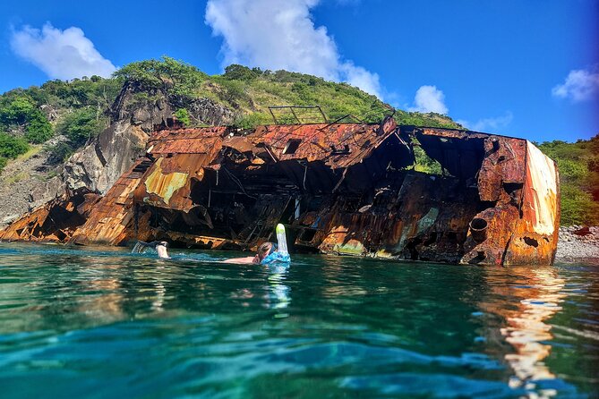 VIP Private Guided Scuba Diving/Snorkeling Excursion - Getting Great Photos Without Trying Hard
