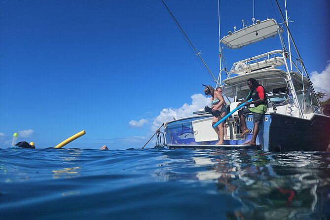 VIP Private Guided Scuba Diving/Snorkeling Excursion - Snacks, Beer, and a Boat That Actually Feels Comfortable