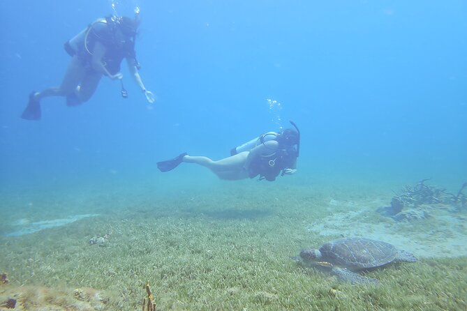 VIP Private Guided Scuba Diving/Snorkeling Excursion - How the Day Works: Snorkeling, Scuba Options, and Relax Time