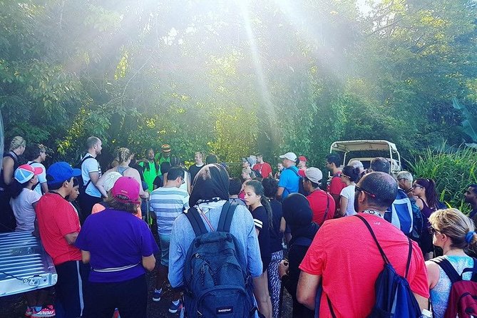 Volcano Caldera (Mt. Liamuiga) Trek / Hike - Mt. Liamuiga crater views and the feeling of real altitude