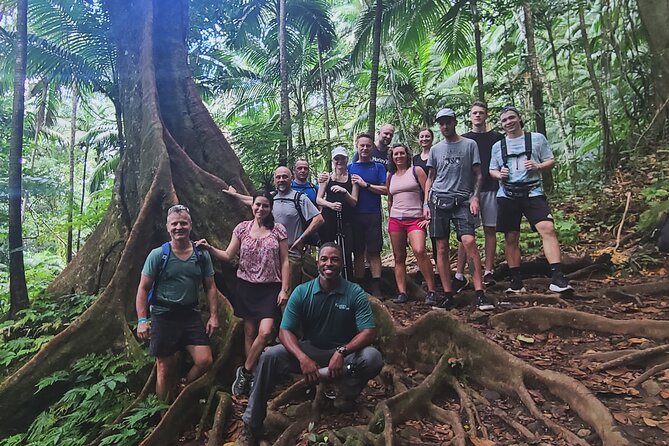 Volcano Caldera (Mt. Liamuiga) Trek / Hike - Rogers Eco Tours and how the day runs as an organized experience