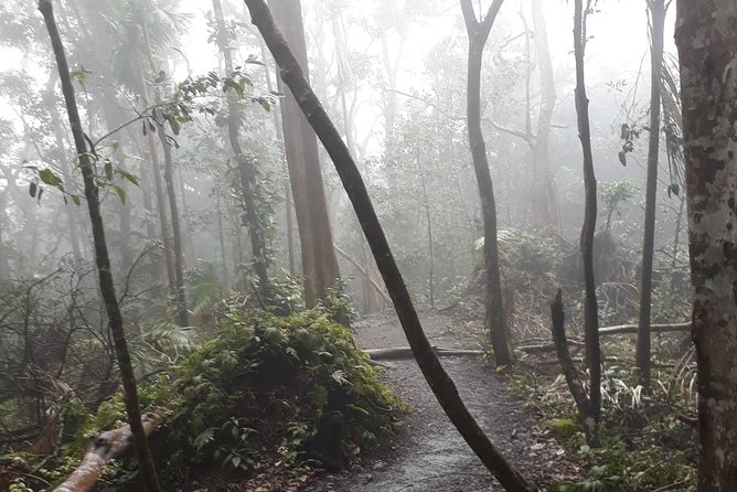 Volcano Crater Hiking Tour in St Kitts - The Big Payoff: Summit Views and the 360-Degree Picnic