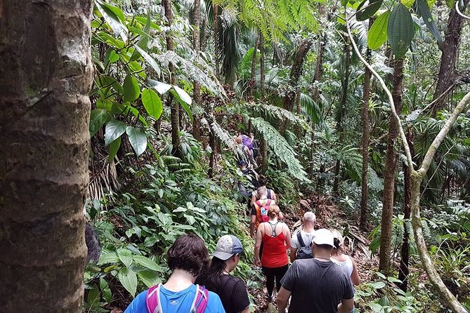 Volcano Crater Hiking Tour in St Kitts - Guides and Group Size: How You Get Value From the $100 Price