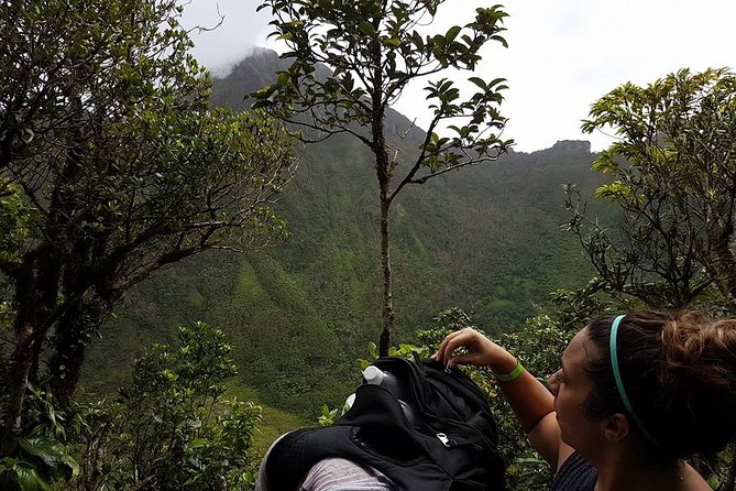 Volcano Crater Hiking Tour in St Kitts - Weather, Safety, and the One Rule Nobody Wants to Hear