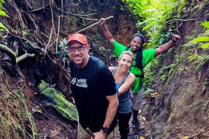 Volcano Crater Hiking Tour in St Kitts - The Trailhead Hike Up: Rainforest, Roots, Rocks, and a Temperature Shift