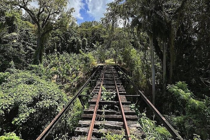 Wingfield Rainforest Adventure Hike and Caribelle Batik stop - Price check: is $69.99 good value for this St Kitts mix?