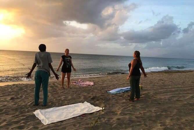 Yoga and Meditation, Group or Private Sessions in Nevis - Who This Yoga Session on Nevis Is For