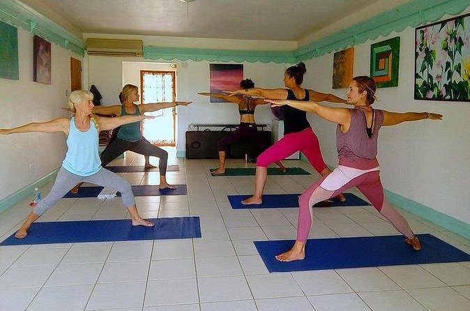 Yoga and Meditation, Group or Private Sessions in Nevis - Booking Checklist, So Your Class Feels Effortless