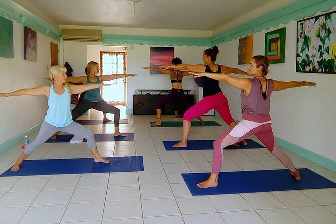Yoga and Meditation, Group or Private Sessions in Nevis - Should You Book Yoga and Meditation in Nevis?